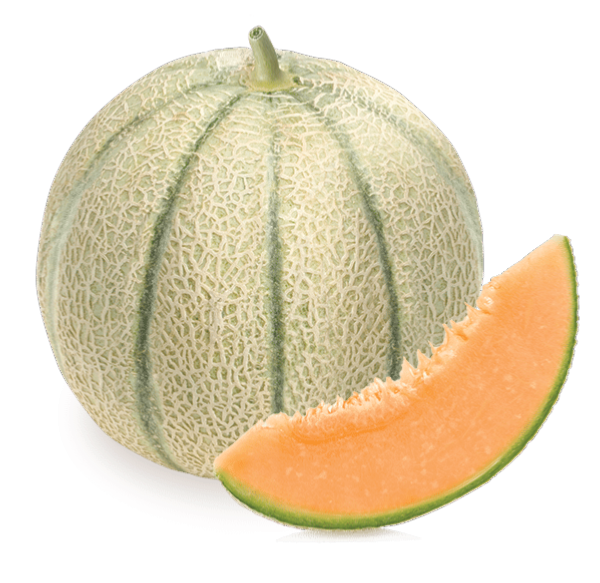 Melon pièce